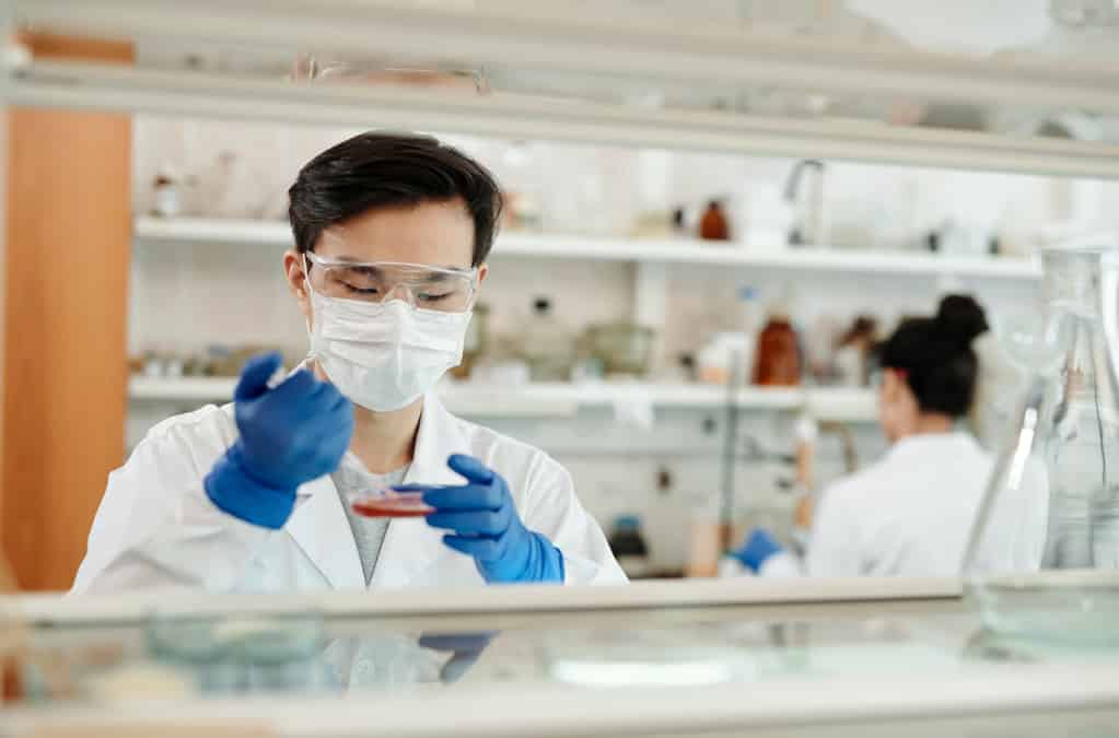 medical technician putting blood samples on petri dish