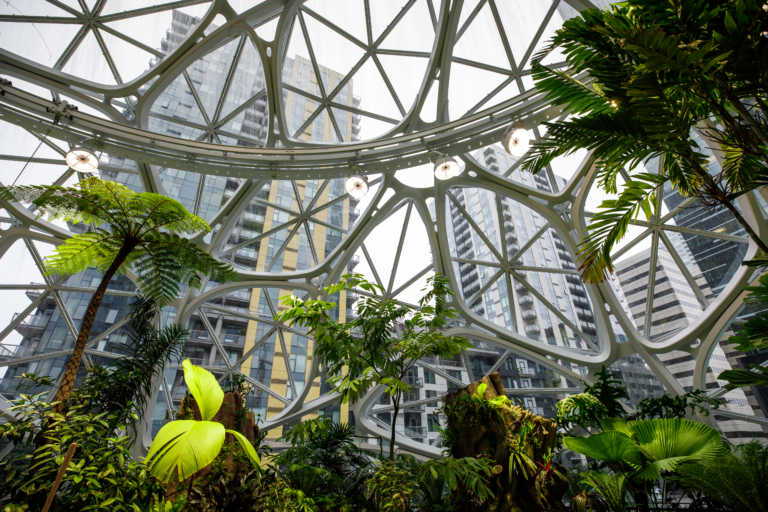 indoor manmade garden with the view of buildings