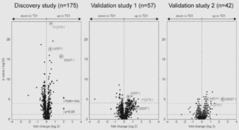 Graphs showing the p-value of proteins that were upregulated or downregulated in individuals with Down syndrome compared to typical individuals in the Discovery study, Validation study 1, and Validation study 2.