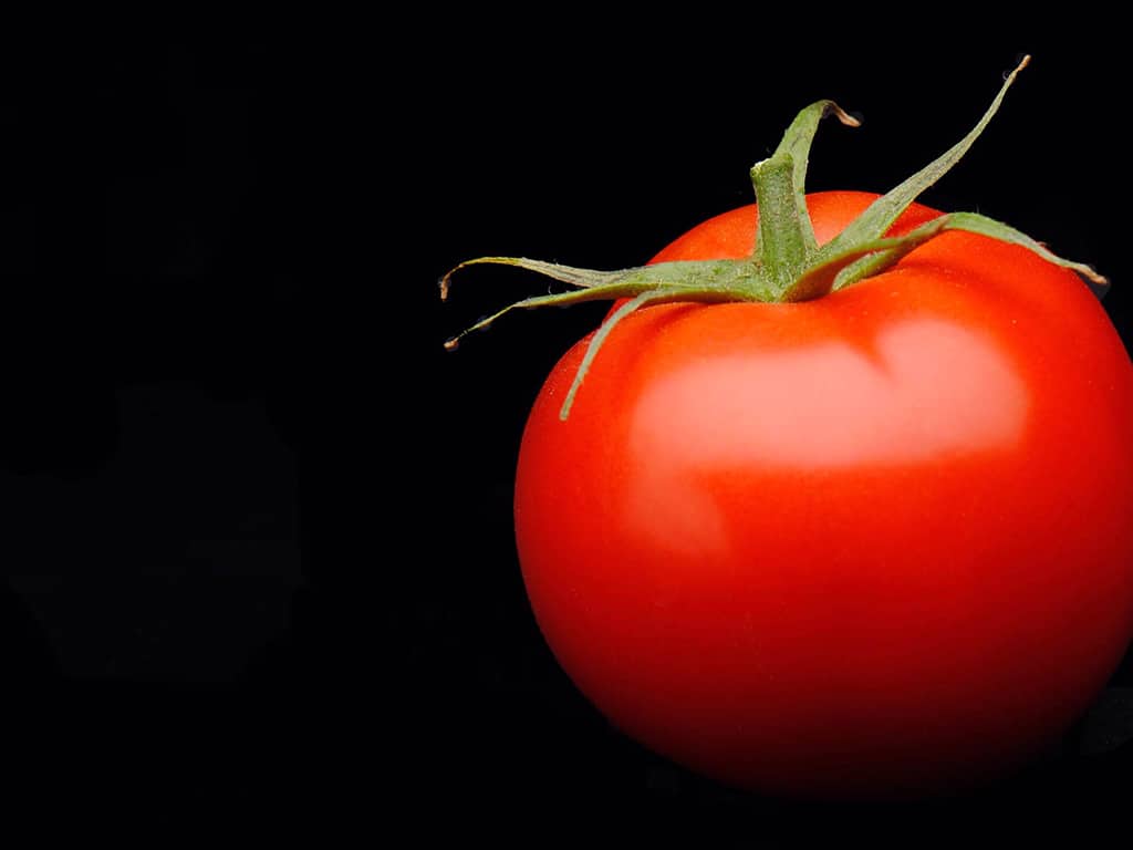 A tomato extract supplement that counters air pollution